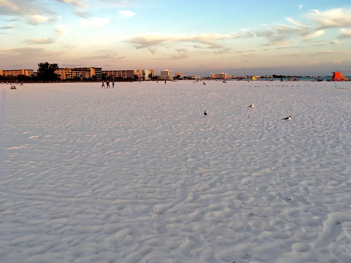 Белый песок пляжа Siesta Key, Сарасота